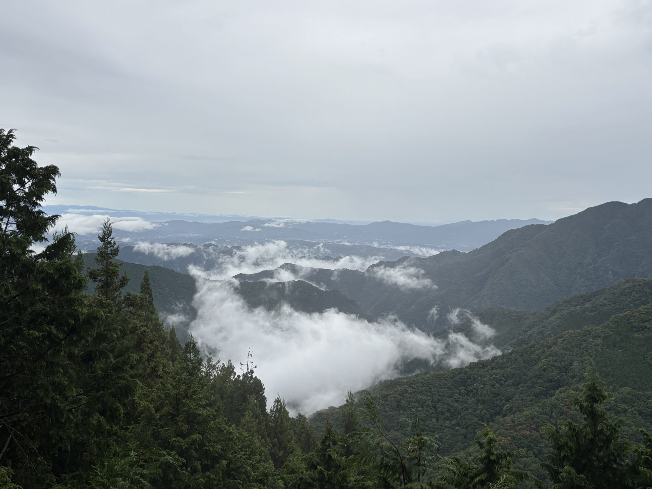 雨の三峯神社参拝で見ることができた山々と雲海